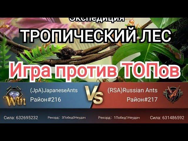 Экспедиция ТРОПИЧЕСКИЙ ЛЕС The Ants Underground kingdom