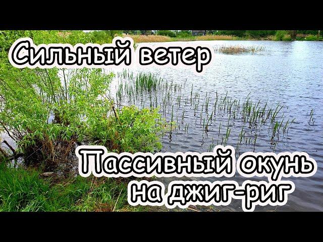 Ловля окуня на джиг риг с берега в сильный ветер или пассивный окунь на джиг риг