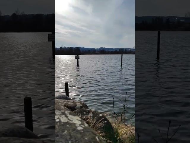 The beauty of a sunny day #nature #lakeside #calm #reflection #peaceful #outdoorlife  #meditation