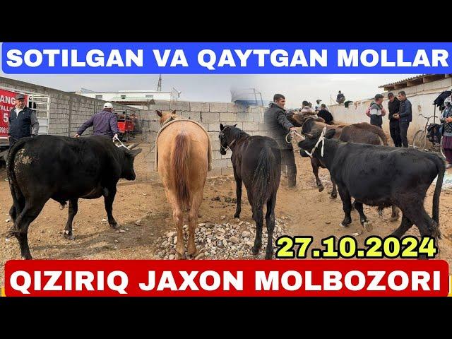 SOTILGAN VA QAYTGAN MOLLAR VA OT TOYLAR NARXLARI SURXONDARYO QIZIRIQ JAXON MOLBOZORI 27.10.2024