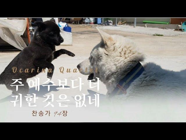 #31. Hymn/ 주예수보다 더 귀한것은 없네/오카리나4중주