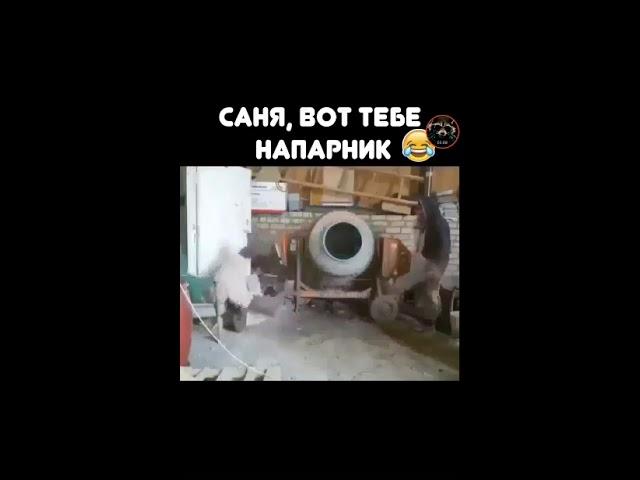 Саня вот тебе напарник