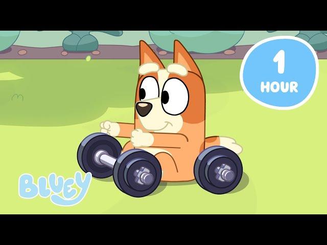 LIVE: Sporty Games to Play with Bingo and Bluey | Outdoor Activities with Bluey | Bluey