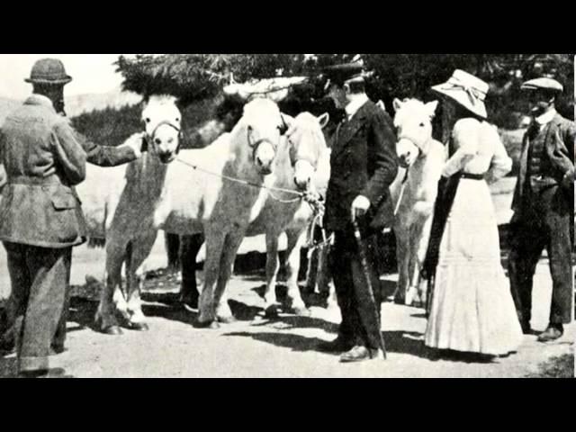'The Oates Collection' - Access Film for Captain Lawrence Oates Gallery