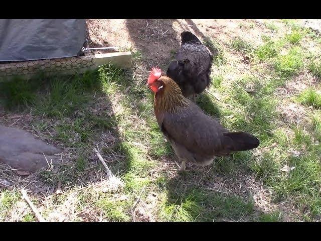 Why We Watch Off Grid With Doug And Stacy