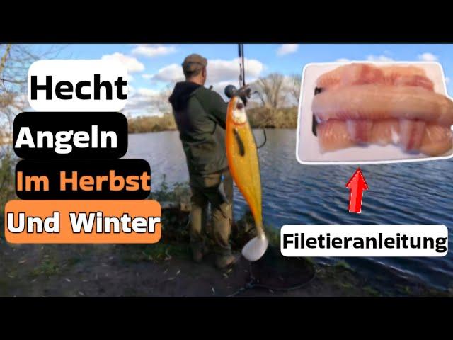 Hecht -  angeln im Fluss mit Gummifisch 