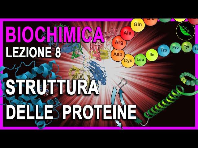 STRUTTURA PRIMARIA e STRUTTURA SECONDARIA delle PROTEINE : GUIDA DEFINITIVA  -Biochimica Lez 8