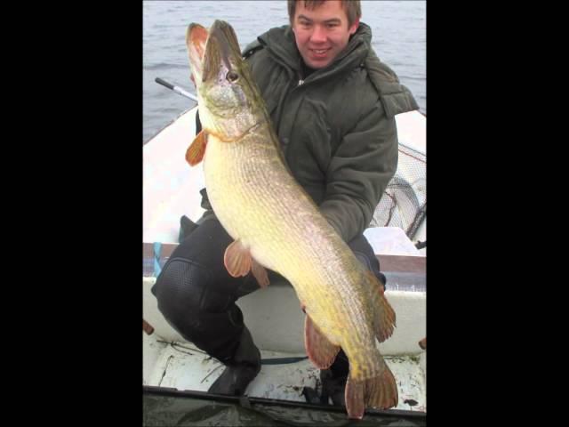 BIG PIKE ON WESTIN MIKE THE PIKE - 12.98kg !!