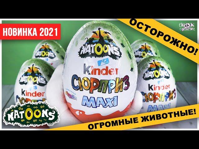 Киндер Natoons MAXI 2021 | Огромные дикие звери | Kinder Натунс Сюрприз