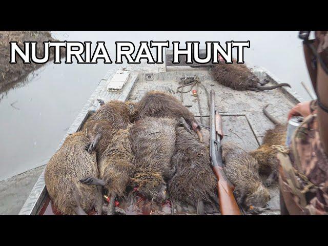 Nutria Rat Hunting / Cooking in Louisiana