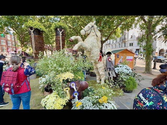 LONDON WALK | CHELSEA IN BLOOM 2025 | Flower Displays, Kings Road & Sloane Square [4K HDR]