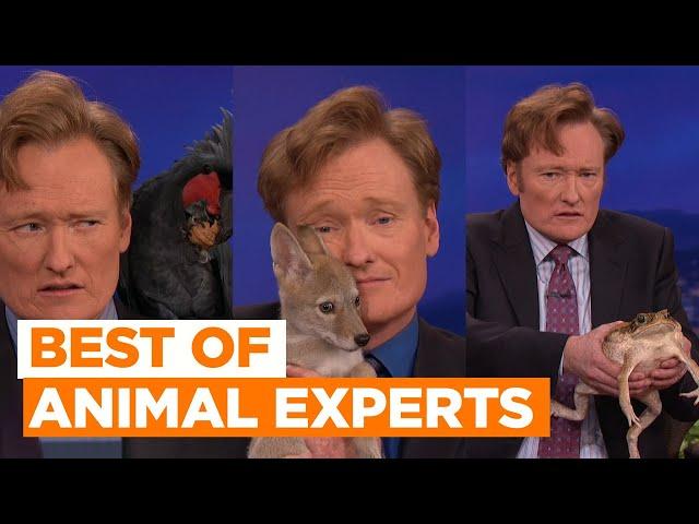 Best Of Animal Experts: Black Palm Cockatoo & Brown Bear Cub | CONAN on TBS