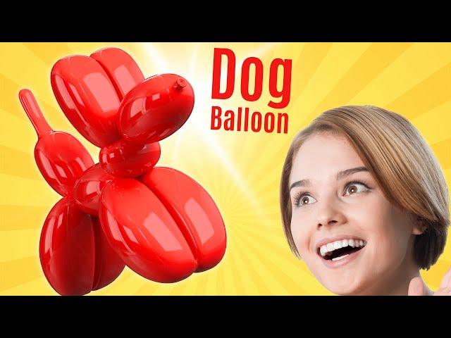 A Beginners First Dog Balloon Animal: #dogballoon #balloonanimals #makeballoonanimals #balloondog