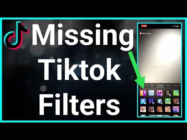 How To Fix Missing Filters On TikTok