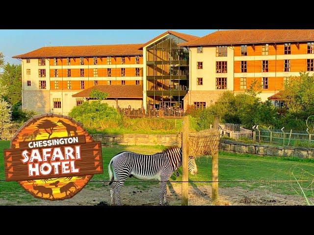 Chessington Safari Hotel & Room Tour | AMAZING Animal Views!