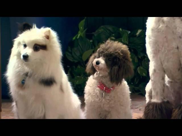 "Stan Rescues His Princess" Sneak Peek | Dog With A Blog