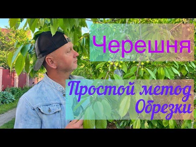 Весення обрезка Черешни.