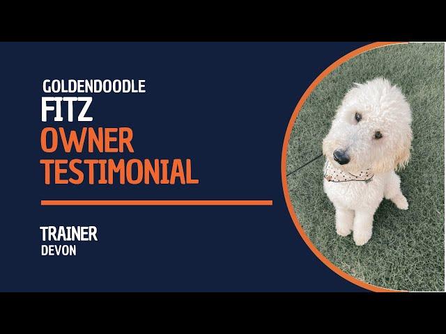 Fitz the Goldendoodle Owner Testimonial | Off Leash K9 | Board & Train | Oklahoma