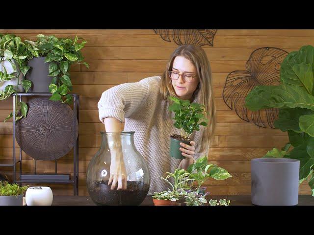 How to build Boris the DIY Terrarium: Step-by-step tutorial