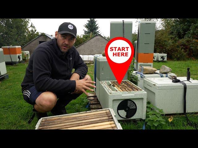 How To Start Beekeeping in 2024