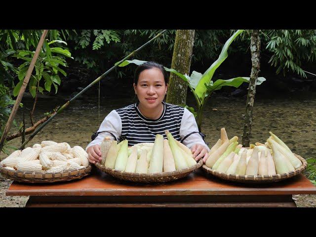 Harvesting Corn Garden Goes To Market Sell - Pet Care - Lý Thị Ca