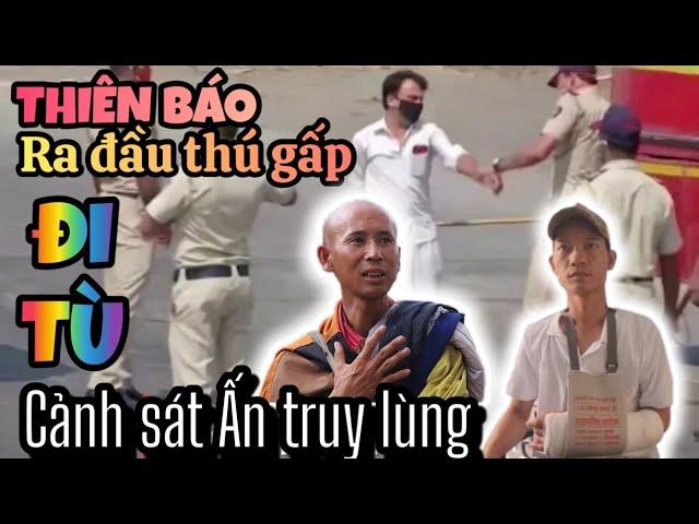 NHẬN ĐỊNH NÓNG: Thiên báo ra đầu thú gấp - Cảnh sát Ấn Độ truy tìm chắc chắn ĐI TU huyền?