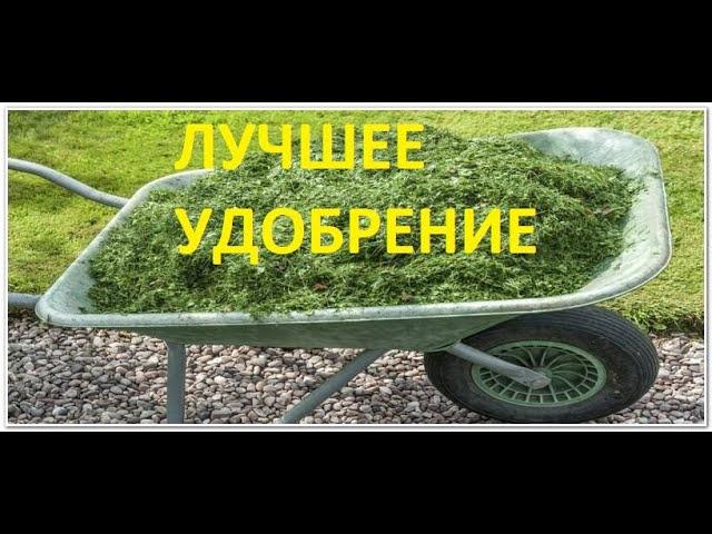 #удобрение #подкормка ЛУЧШЕЕ УДОБРЕНИЕ ВСЕХ ВРЕМЕН.ЧАЙ ИЗ ТРАВ ,ЛУЧШЕЕ НАТУРАЛЬНОЕ УДОБРЕНИЕ В МИРЕ