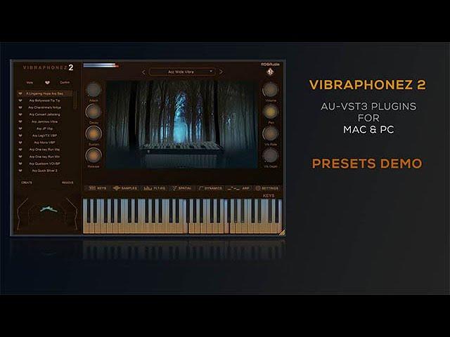 #RDGAudio #Vibraphonez 2 AU VST3 Plugins #Presets Demo