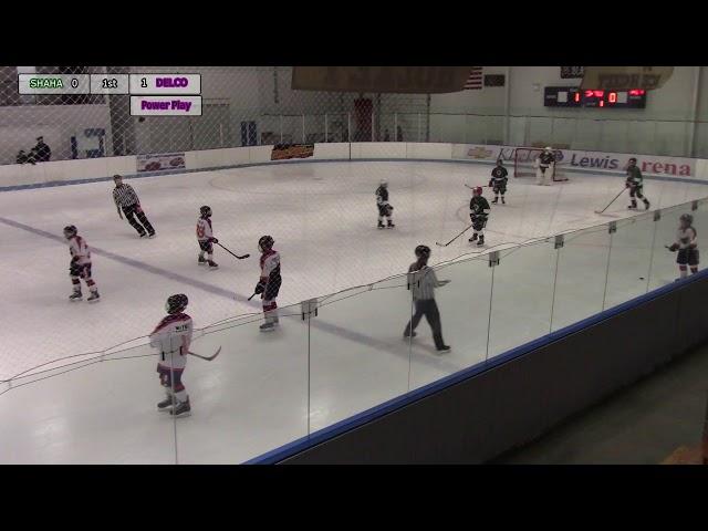 20/2/8 SHAHA v Delco Phantoms