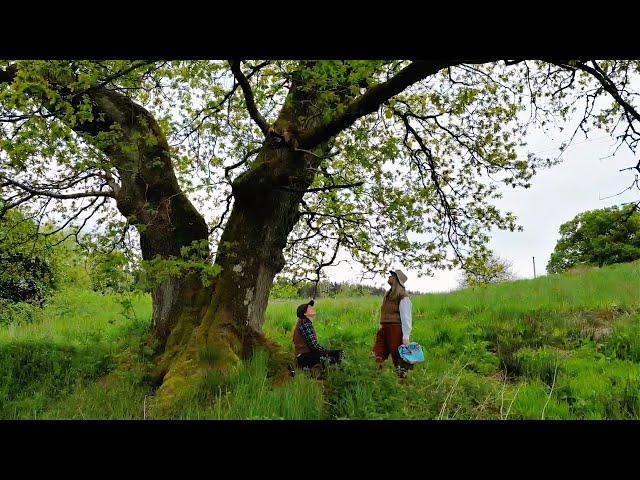 Property Tour - Ancient Trees - Peacock Pen - Scottish Country House Life (Living in Scotland)