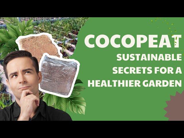  Phu Hao Coco Peat: The Natural Choice for Garden Enthusiasts! 