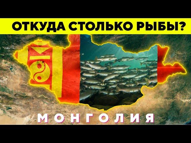 WHY IS THERE SO MUCH FISH IN MONGOLIA? Mongolian fishing