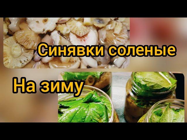 Сыроежки (синявки) соленые на зиму.