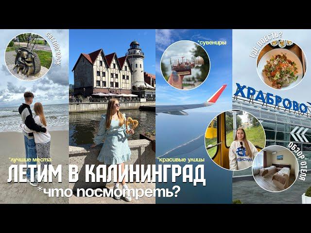 ВЛОГ ПЕРВЫЙ РАЗ В КАЛИНИНГРАДЕ 2024/Куда сходить в Калининграде/лучшие места/обзор отеля/СВЕТЛОГОРСК