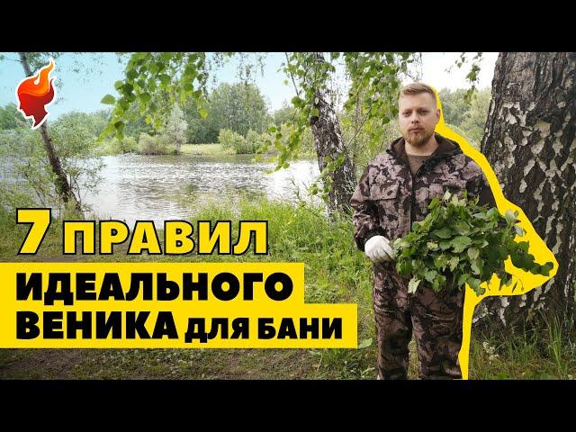 Как правильно вязать березовый веники для бани!