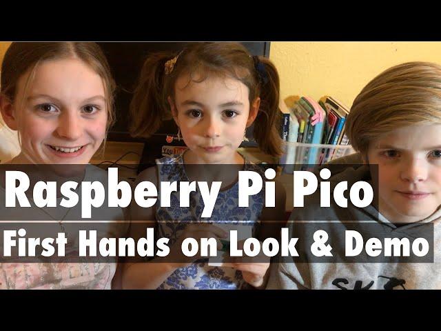 The New Raspberry Pi Pico - What is it ? First Look & Demo