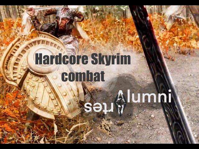 Skyrim 2024 - first person combat | 600+ mods