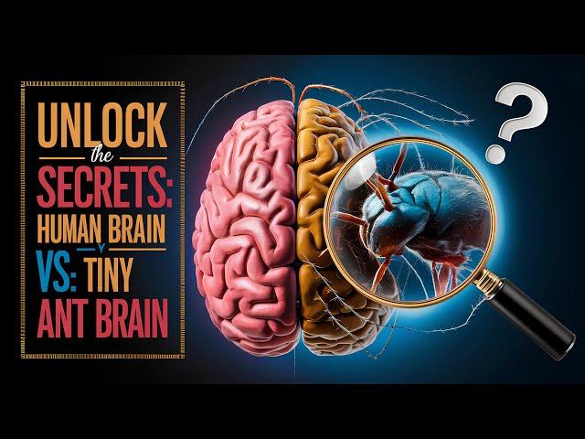 Unlock the Secrets: Human Brain vs. Tiny Ant Brain - Astonishing Differences Revealed!