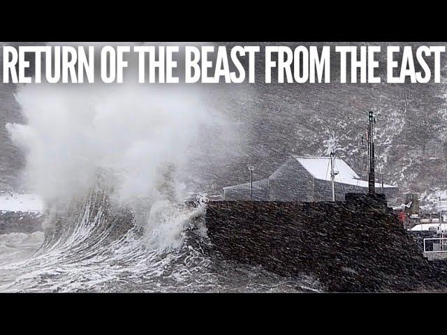 Harbour slammed by epic storm - Stonehaven vs The Beast from the East 2021!