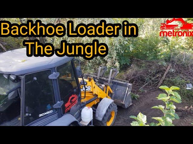 Jcb 3cx |  The Most Powerful Backhoe Loader Clears an Abandoned Land (English subtitles)