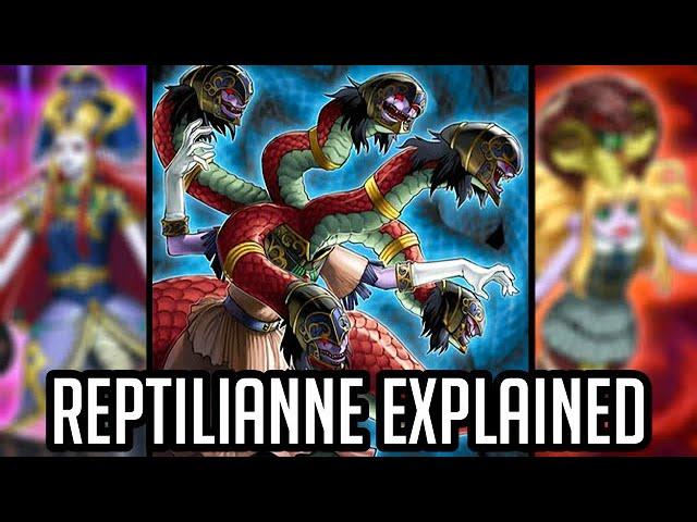 Reptilianne Explained in 23 Minutes [Yu-Gi-Oh! Archetype Analysis]