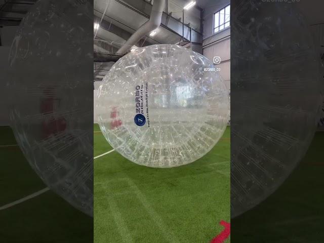 Can you guess the perfect day to zorb?