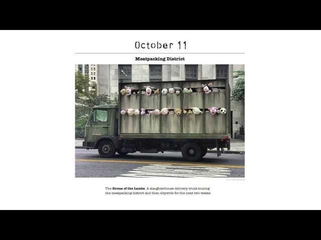 Banksy and animal rights