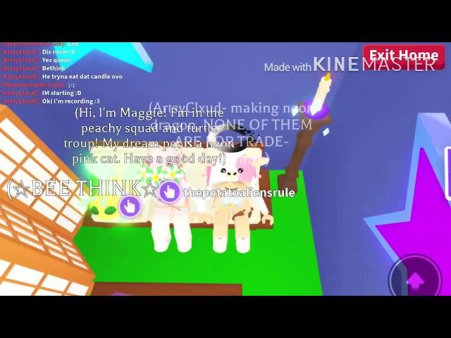 The  neon chocolate Labrador release date - Recording with a fan :D