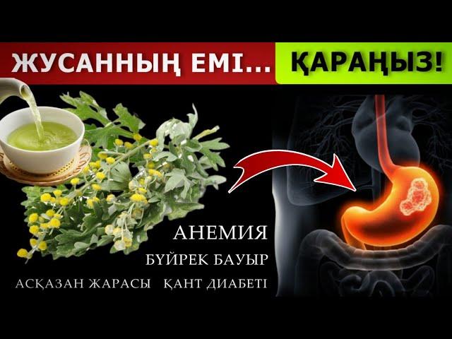 41 АУРУҒА ЕМ! ЖУСАННЫҢ емдік қасиеті...  Жусанның пайдасы.