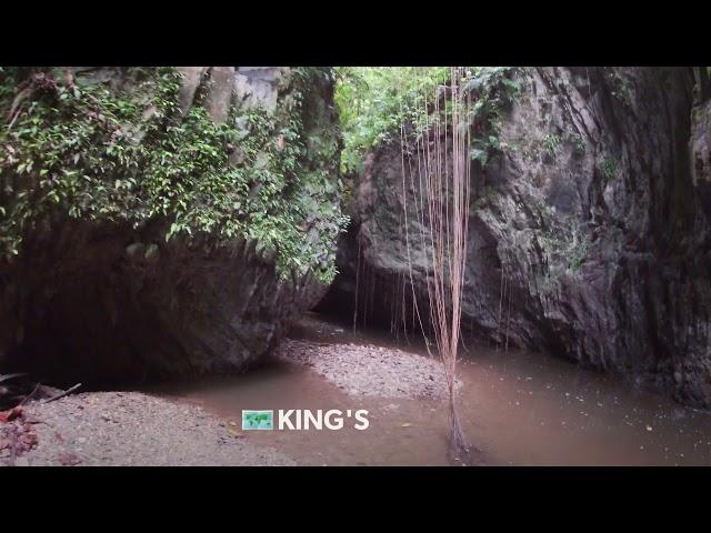 TRAIL SEEKERS NATURE TRAILS AND TOURS VLOG | KING'S WATERFALL AND GORGES GRANDE RIVIERE | EP. 5