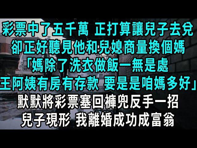 彩票中了五千萬 正打算讓兒子去兌，卻正好聽見他和兒媳商量換個媽，王阿姨沒丈夫 有存款要是是咱媽就好了，媽除了洗衣做飯一無是處，默默將彩票塞回褲兜反手一招，兒子現形 我離婚成功獨自瀟灑#小說#爽文#情感