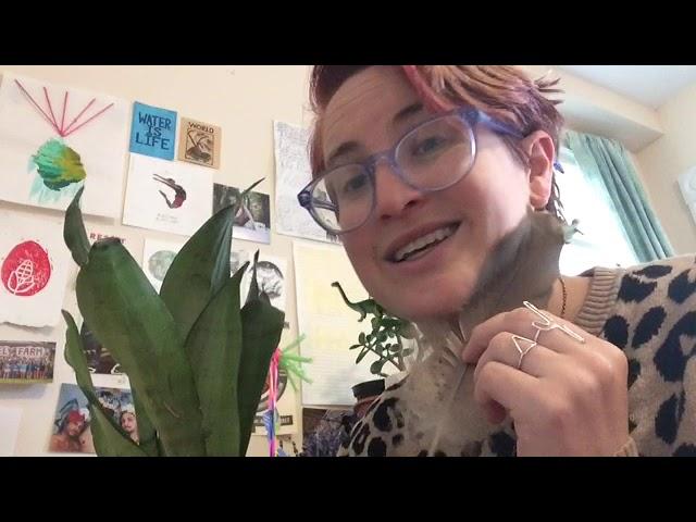 Bring nature inside!