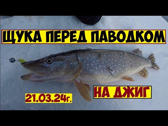 РЫБАЛКА НА ЩУКУ ВЕСНОЙ НА ДЖИГ! ЛОВЛЯ ЩУКИ ПЕРЕД ПАВОДКОМ! ЩУКА НА МАЛОЙ РЕКЕ! ЩУКА НА ДЖИГ ВЕСНОЙ