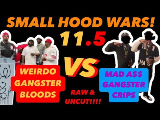 WEIRDO GANGSTER BLOODS VS MAD AS$ GANGSTER CRIPS - SMALL HOOD WARS 11 PART 2!! - RAW & UNCUT!!!
